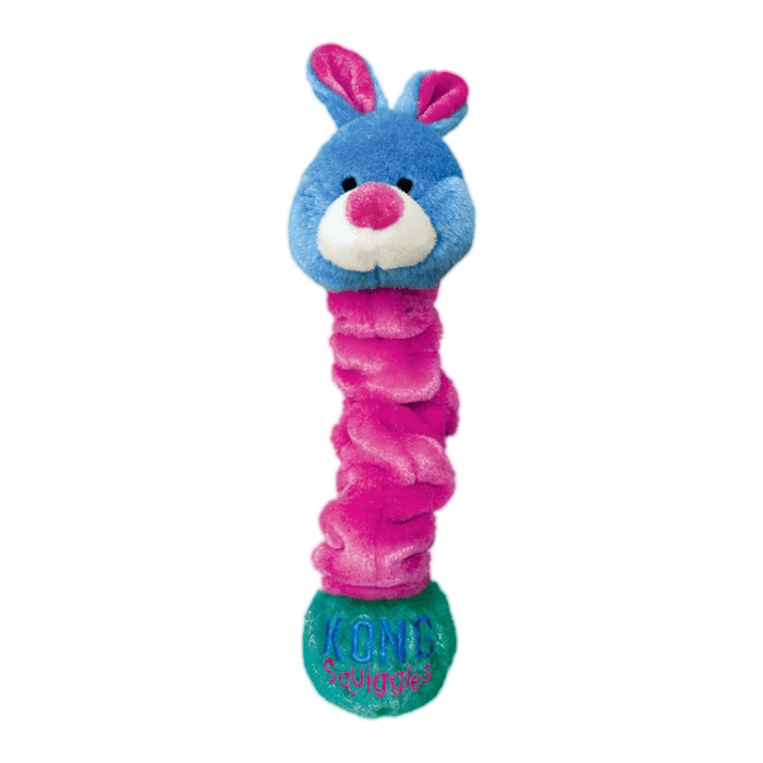 KONGSQ2E3.png KONG Squiggles Assorti Medium