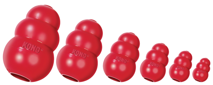 KONGT4E_KONGT3E_KONGT2E_KONGT1E_KONGKXLE_KONGKKEGROEP.png KONG Classic