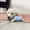 KONGXZ72E4.png KONG Enhanced Ziggies Puppy