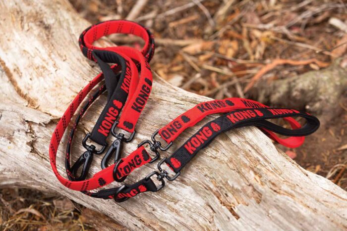 KONG Zero-Shock Leash Rood