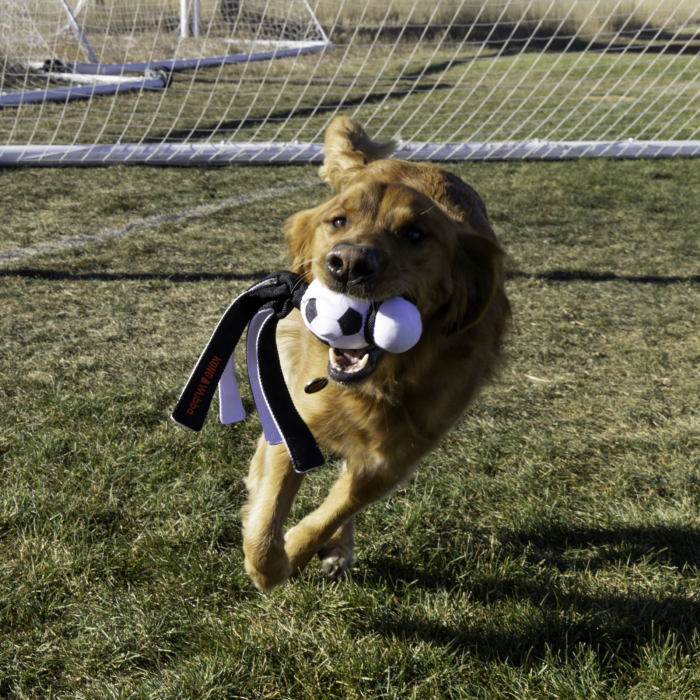 WSB12E_LIFE_1.png KONG Wubba Sport Football L