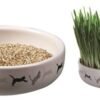 Trixie Kattengras Kattengraszaad 15 x 4 cm
