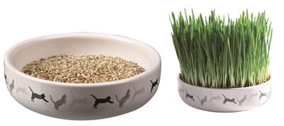 366544.jpg Trixie Kattengras Kattengraszaad 15 x 4 cm