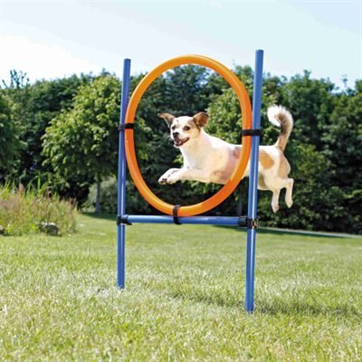 Trixie Agilitytoestel Ring Blauw/Oranje 65 x 3 x 115 cm