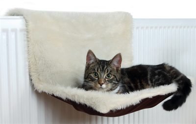 381319.jpg Trixie Kattenmand Radiatorhangmat Creme/Bruin 45 x 26 x 31 cm