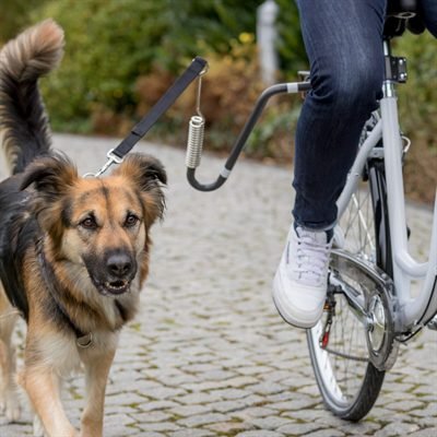 408209.jpg Trixie Buitenartikel Fietsbeugel U-vorm M-XL