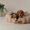 Scruffs Alpine Box Bed