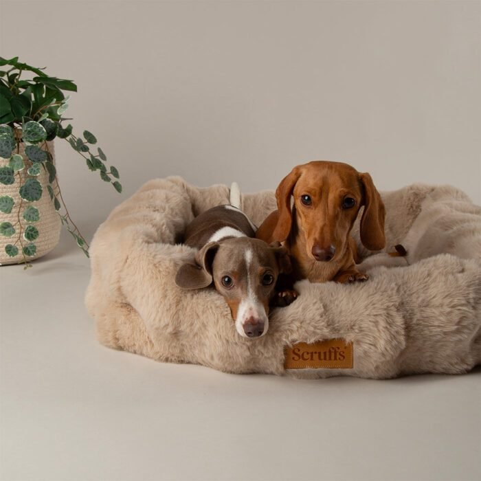 Scruffs Alpine Box Bed