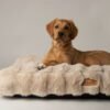 file_4582ee8b-48cc-412e-aa10-b0324a957f85.jpg Scruffs Alpine Matras