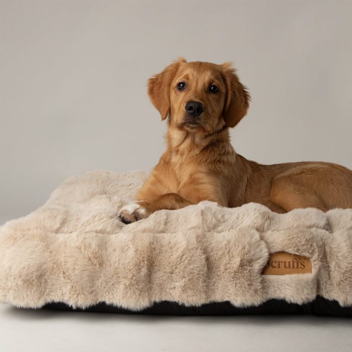 file_4582ee8b-48cc-412e-aa10-b0324a957f85.jpg Scruffs Alpine Matras