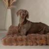 file_8f42a762-8409-435a-8dac-5ae8d4cf0de3.jpg Scruffs Alpine Matras