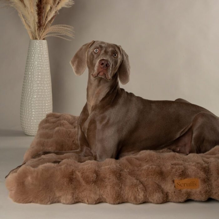 file_8f42a762-8409-435a-8dac-5ae8d4cf0de3.jpg Scruffs Alpine Matras