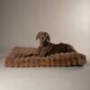 file_a52c1b58-70fc-4efb-bf67-6c1cd5e912f7.jpg Scruffs Alpine Matras