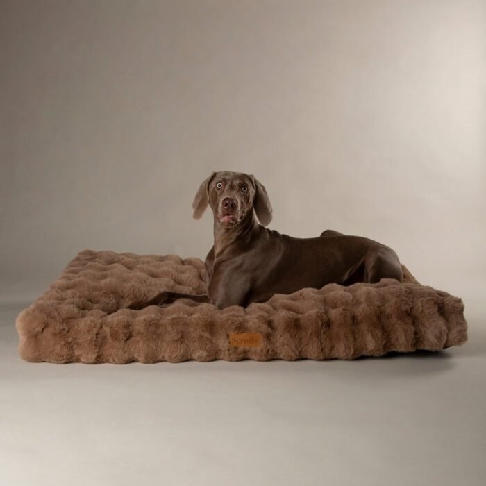 file_a52c1b58-70fc-4efb-bf67-6c1cd5e912f7.jpg Scruffs Alpine Matras