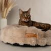 file_e439cb93-20f5-4eb7-b66b-73c756156703.jpg Scruffs Alpine Kattenmand