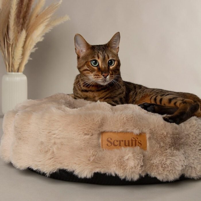 file_e439cb93-20f5-4eb7-b66b-73c756156703.jpg Scruffs Alpine Kattenmand