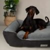 Scruffs Harvard Orthopedische Hondenmand | Memory Foam Box Bed