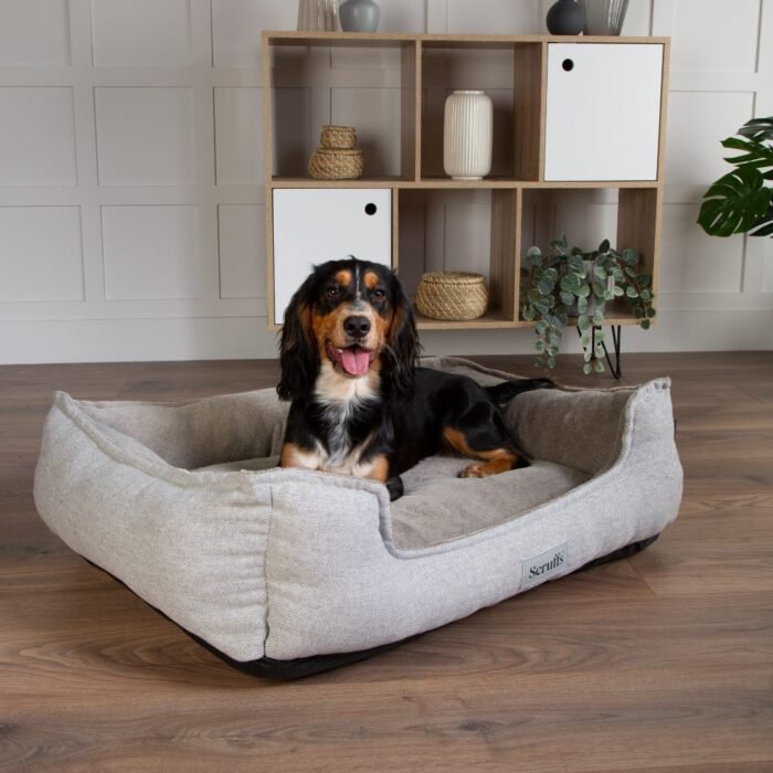 Scruffs Harvard Orthopedische Hondenmand | Memory Foam Box Bed
