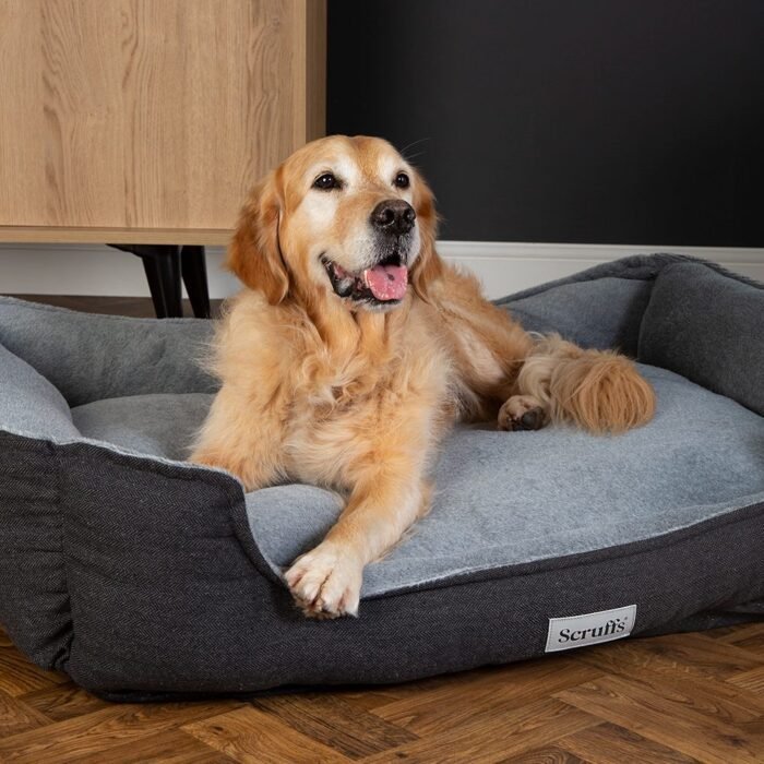Scruffs Harvard Orthopedische Hondenmand | Memory Foam Box Bed