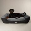 Scruffs Harvard Orthopedische Hondenmand | Memory Foam Box Bed