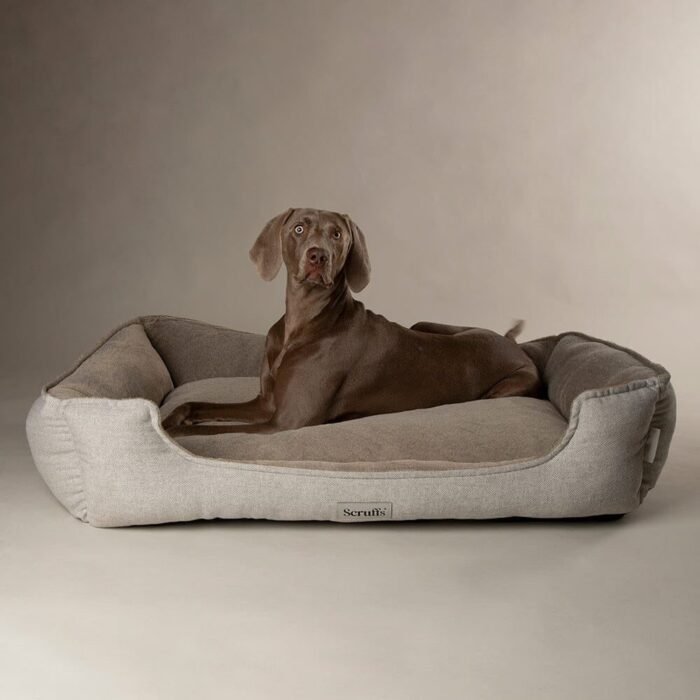 Scruffs Harvard Orthopedische Hondenmand | Memory Foam Box Bed