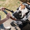 fikago-flytta-plus-buggy-wandeling FikaGo Flytta Plus buggy met hond tijdens wandeling