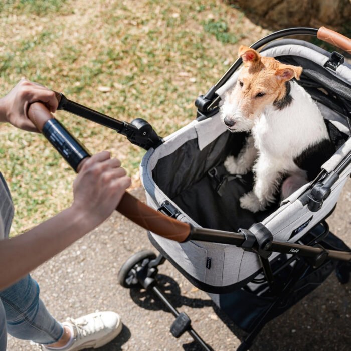 fikago-flytta-plus-buggy-wandeling FikaGo Flytta Plus buggy met hond tijdens wandeling